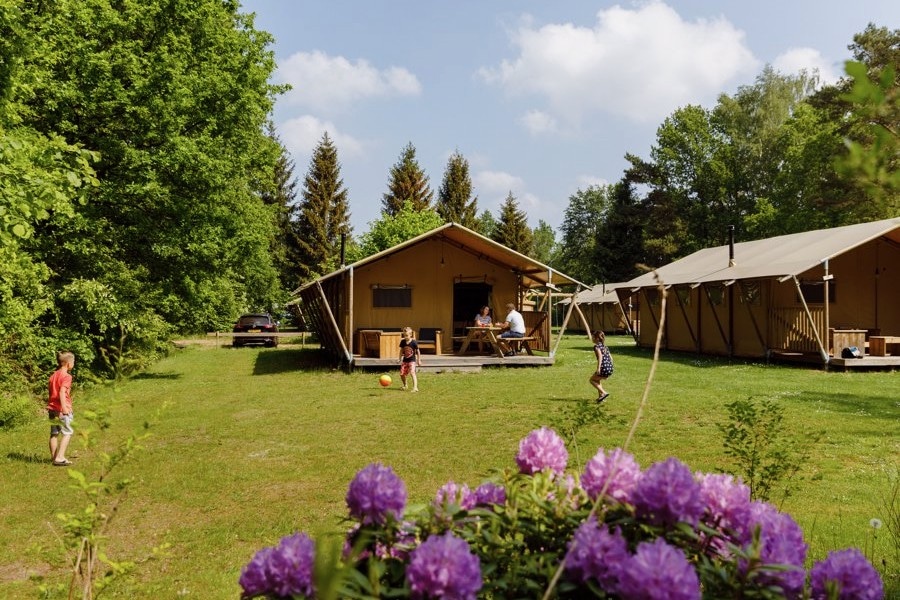 Kinderen voetballen op een groen veld voor een safaritent van RCN vakantiepark de Roggeberg in Friesland